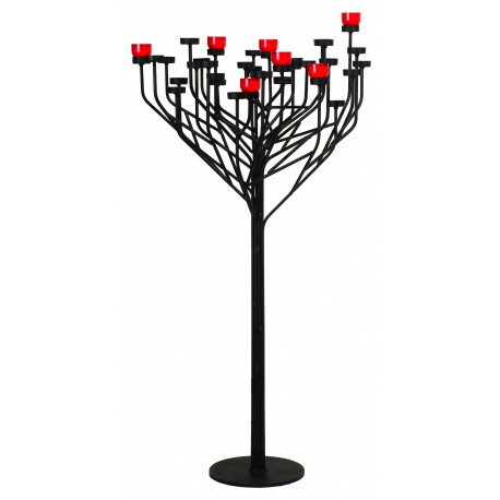 Candle-tree