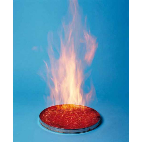 Pied pour le feu nouveau